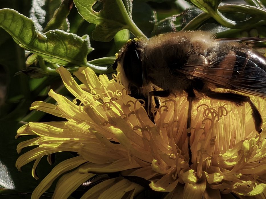 Xiaomi 15t pro обмен/продажа