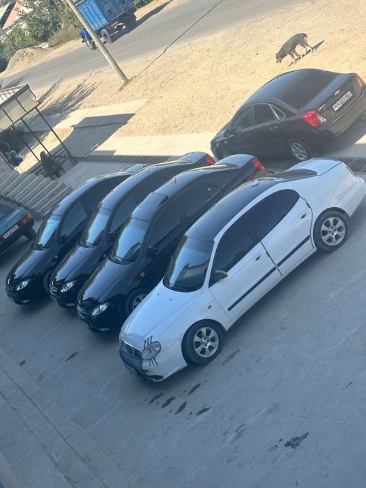 Leganza zur xolada tuning qilngan