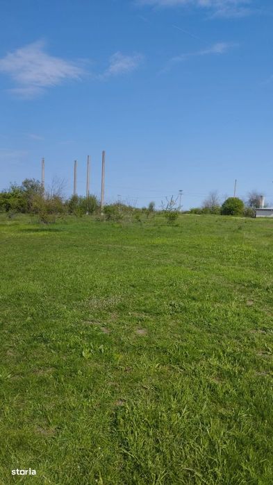 OCAZIE Teren intravilan de vânzare – Grădiștea, Ilfov, Aleea Primăriei