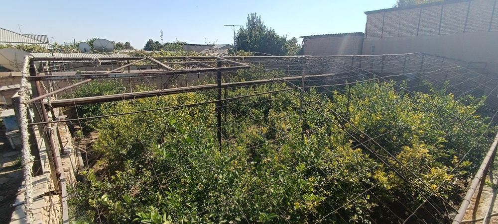 Ховли сотилади 8,5 сотих