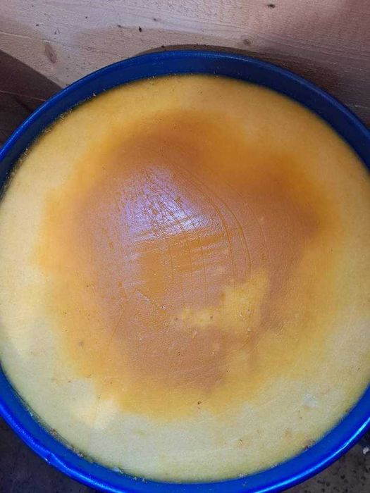 Miere de albine poliflora