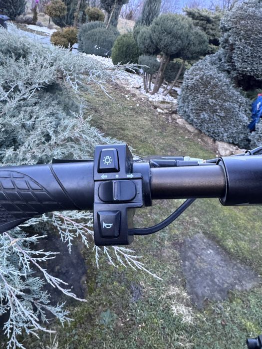 Trotineta electrica 500W Full Suspension!