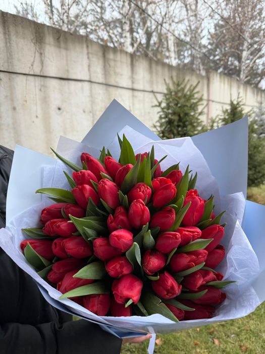 Свежие тюльпаны к 8 марта