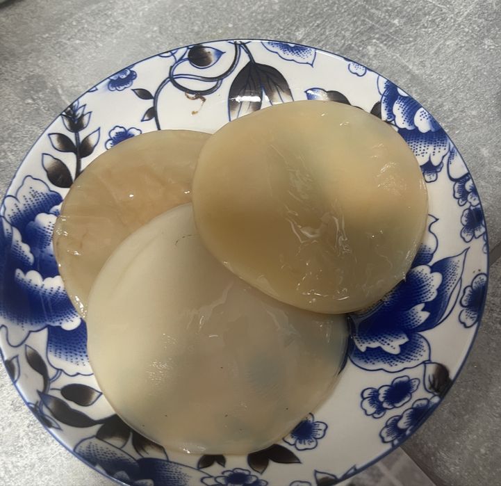 Ciuperca Kombucha+ lichid starter + ghid de utilizare