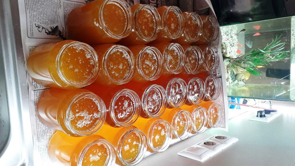 Пресен пчелен мед