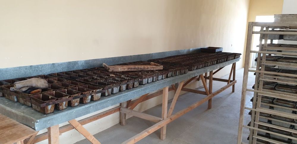 Non ishlab chiqarish