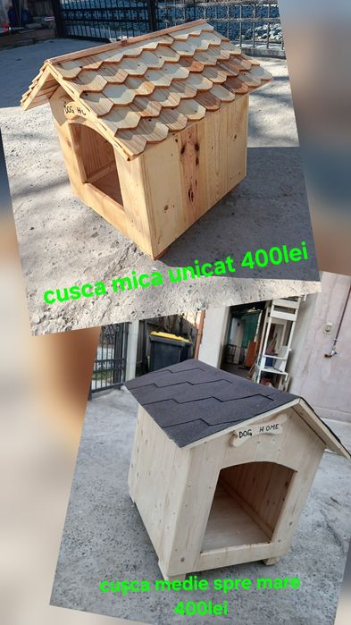 Cusca adăpost câine pisica bichon