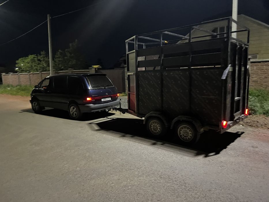 Услуга коневозка услуги перевозка