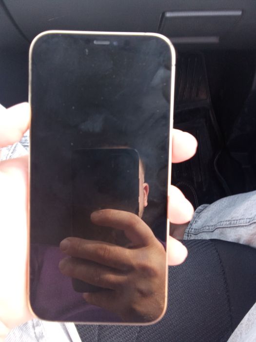 iphone 12 pro max 256 gb