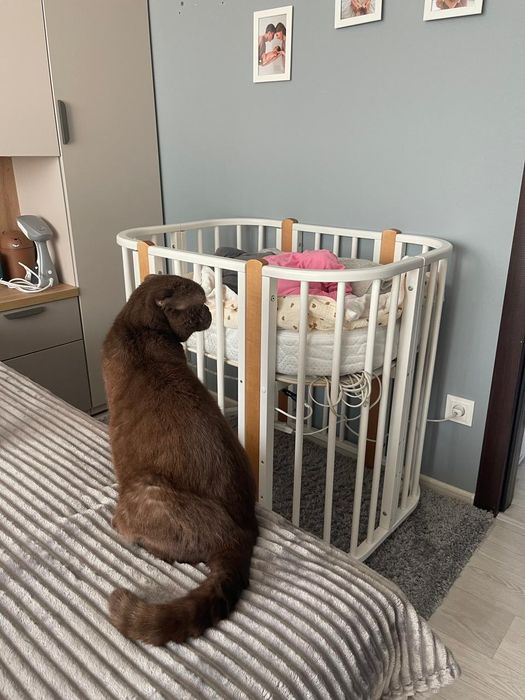 Продам манеж в хорошем состоянии