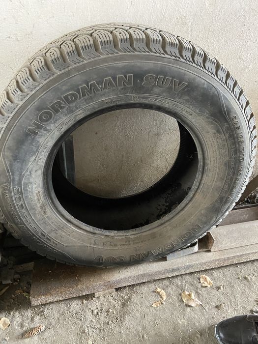 резина зимняя шипованая