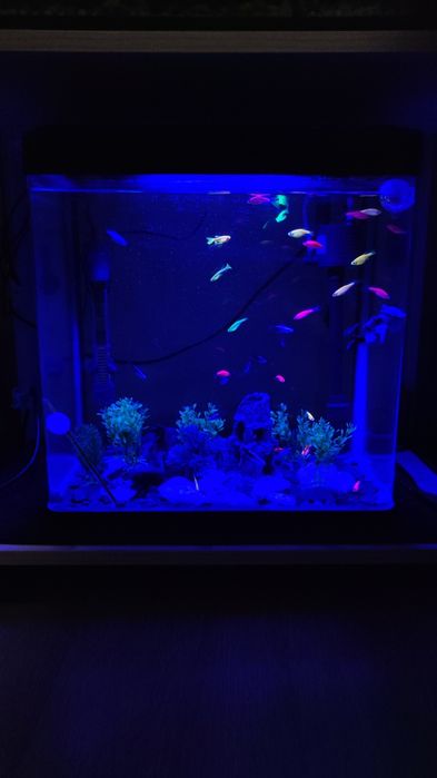 Аквариум 30 литр