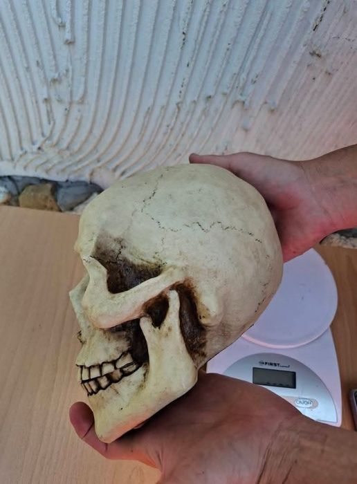 Реалистична статуетка на череп