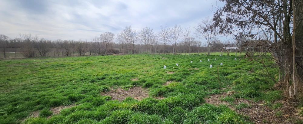 Vand teren plus casa in constructie Satnoieni Calarasi