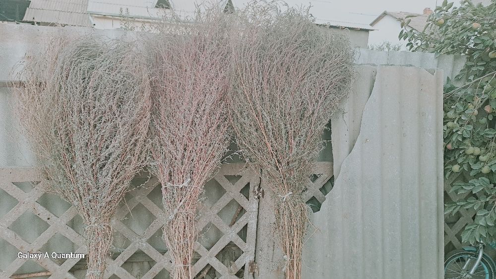 Katta koʼcha supurgi