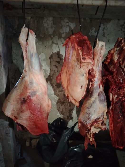 Ерментауское мясо.