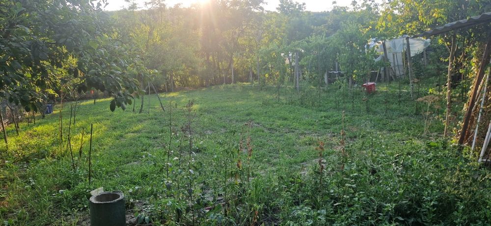 Casă de vănzare  cu teren 1100mp in Sărata Monteoru.  gaze  și  canalizare