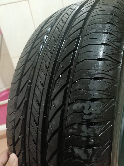 Шины Bridgestone Ecopia