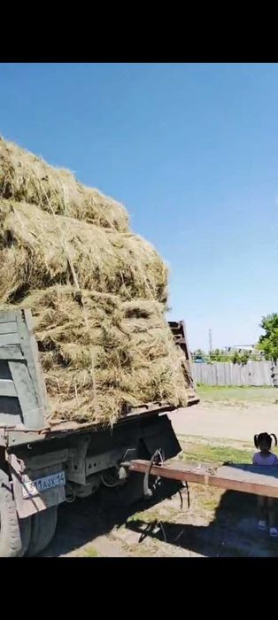 Сено рулоны свежий покос