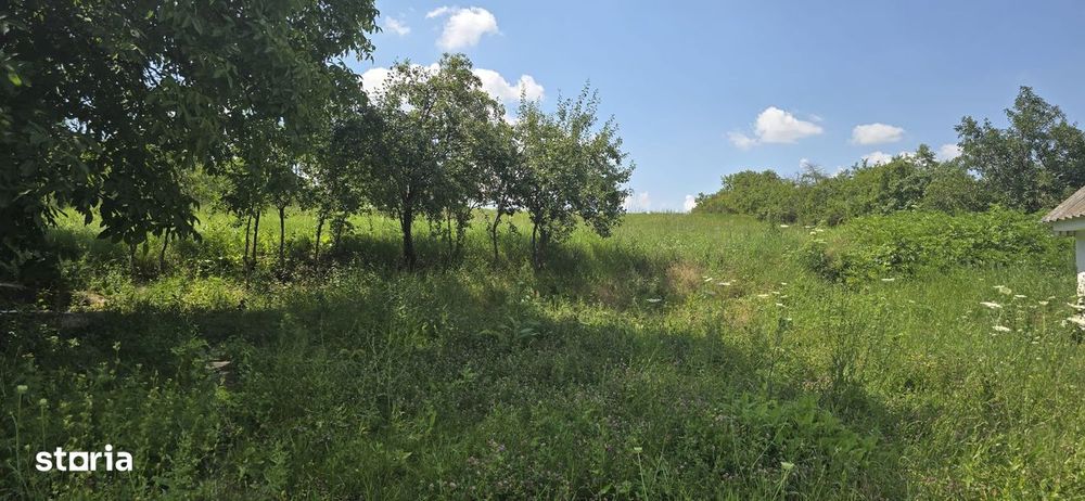 Teren cu casa bătrânească Horlești