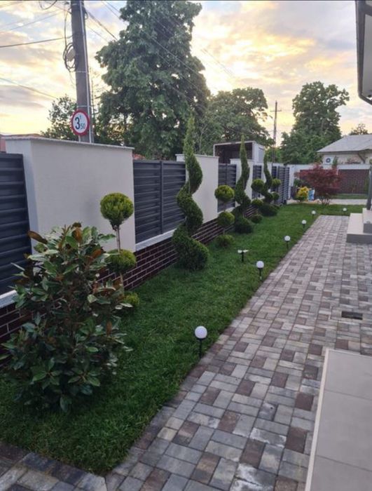 Plante Ornamentale