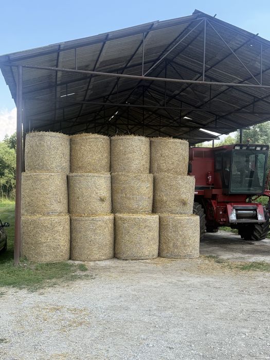 Baloti baie , sunt foarte bine stranși !
