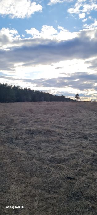 Земельный участок