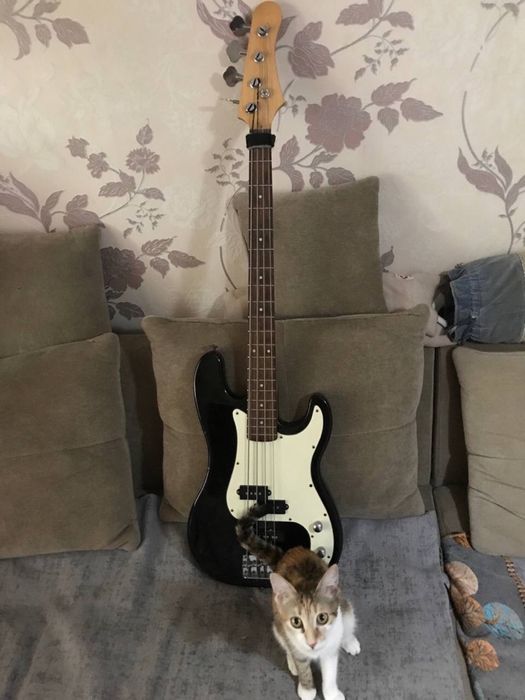Бас гитара Fender PJ