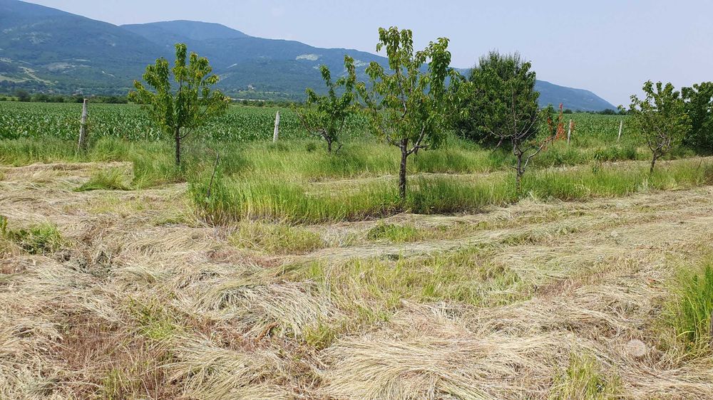 Продава се Земеделски имот в Асеновград -  кв.м за 1943 €/дка - Снимка #2