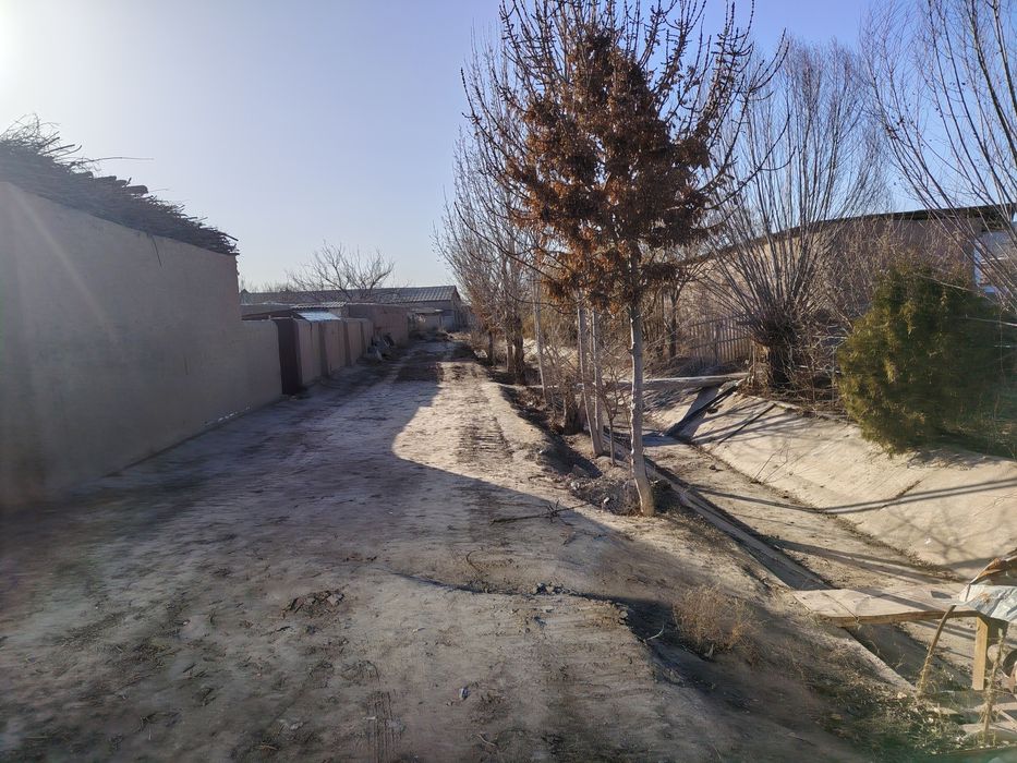 Хонка Мадрида тураржойурни