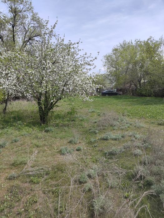 Участок, огород в п.Береке