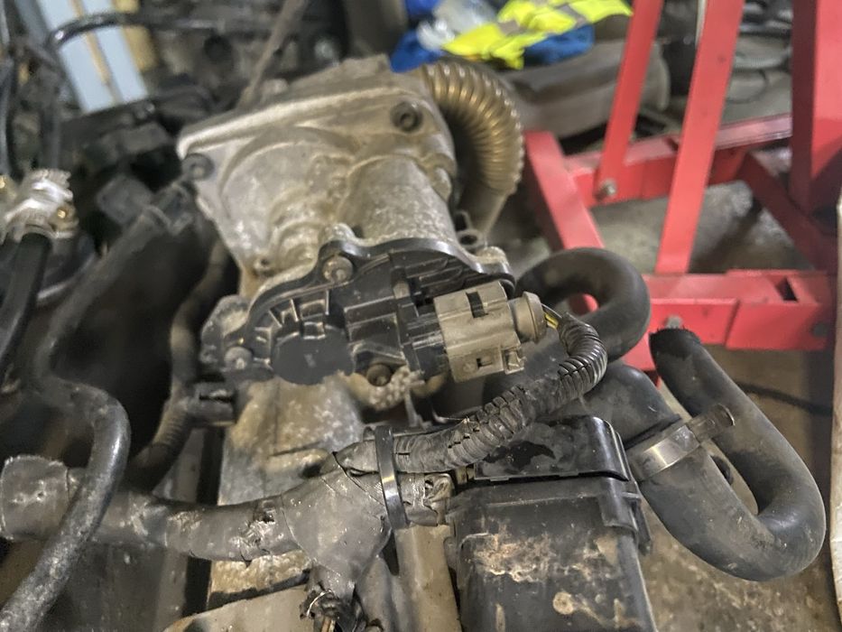 Egr ford focus 2 1.8tdci