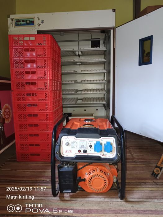 Inkubatir. EKBOKIS. Aftomat 1056