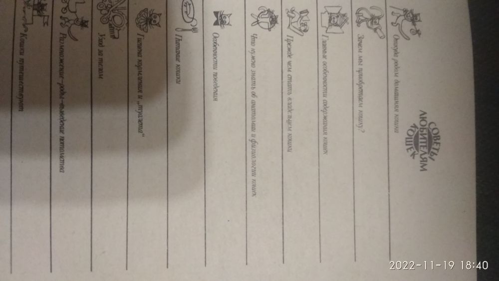 Книга по уходу за кошками