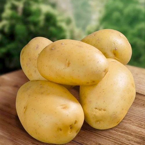 Домашняя картошка