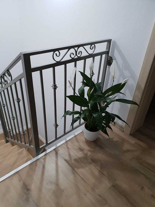 Balustrade Fier Forjat Scari Interioare si Balcoane Timis