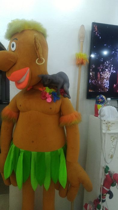 Когтеточка для кошек. Игрушка.