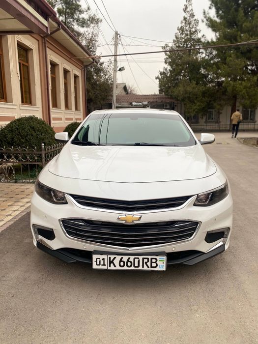 Kiraska toza.  prabeg 165 km. prapan. Pulti bor. Yili 2018 .