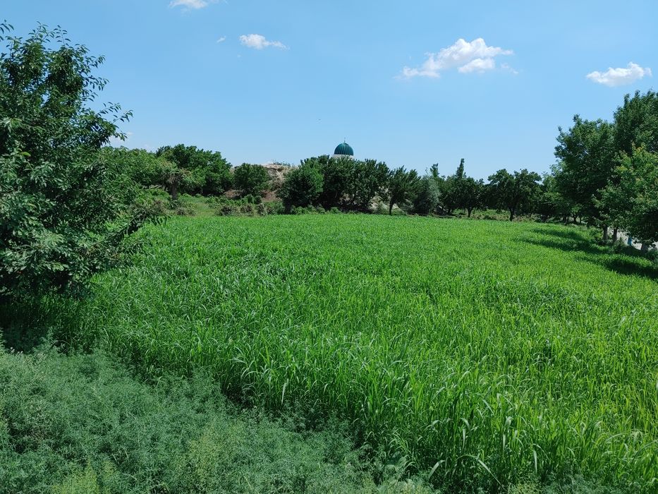 12 sutx Yer 3 xonasi bitgan atrofi kukalam bepayon mol  quy boqish ham
