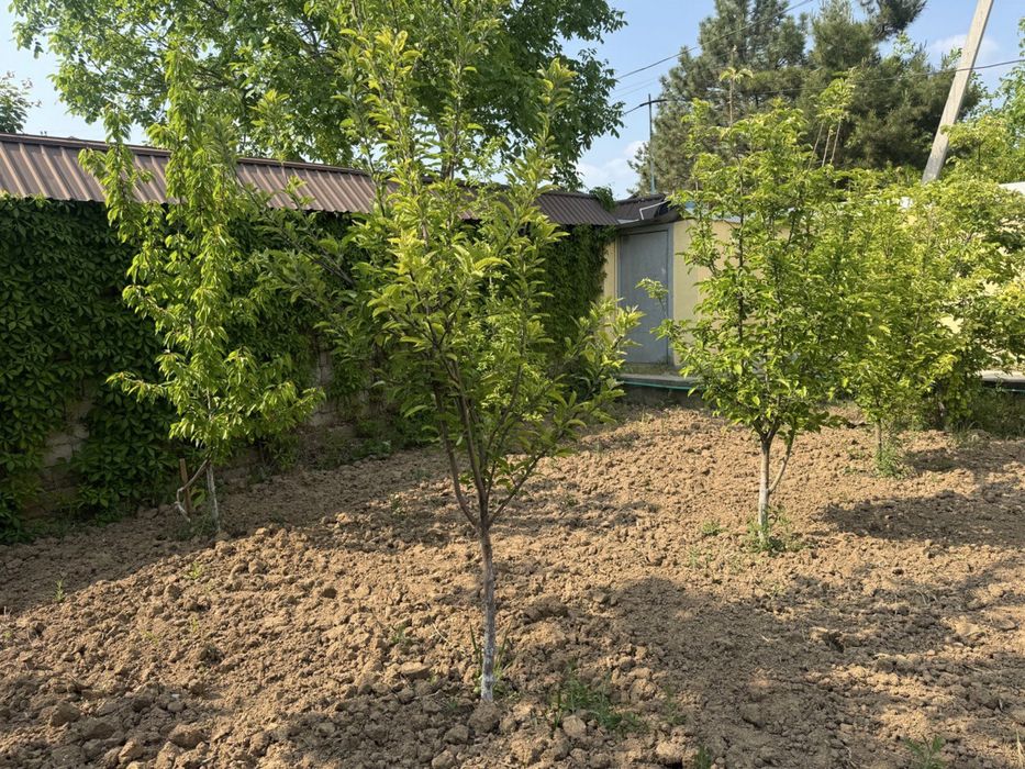 Dala hovli Sotiladi srochno (dacha)