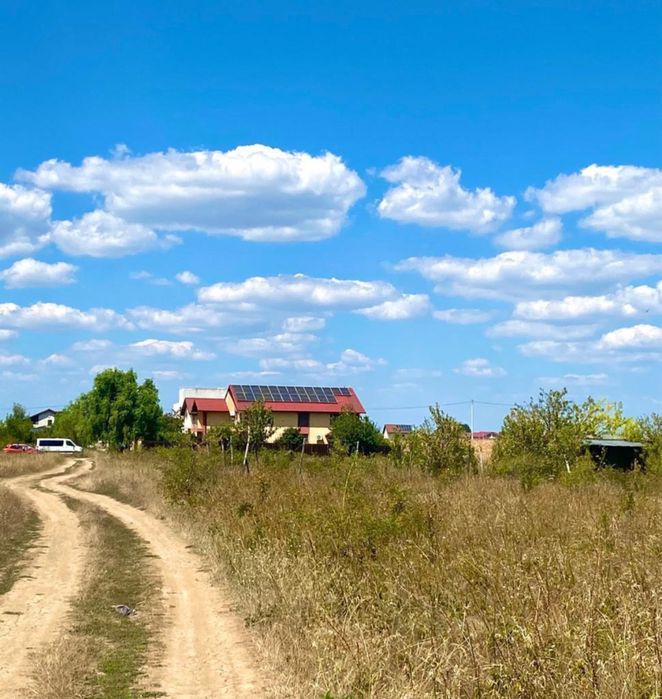 Teren de vanzare in Clinceni