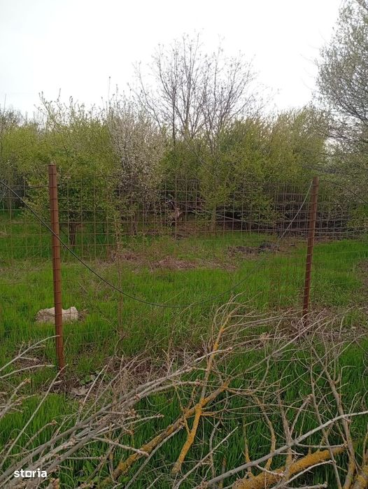 Teren intravilan mixt Buftea – Corbeanca MEGAOCAZIE | 2527 mp | Ideal