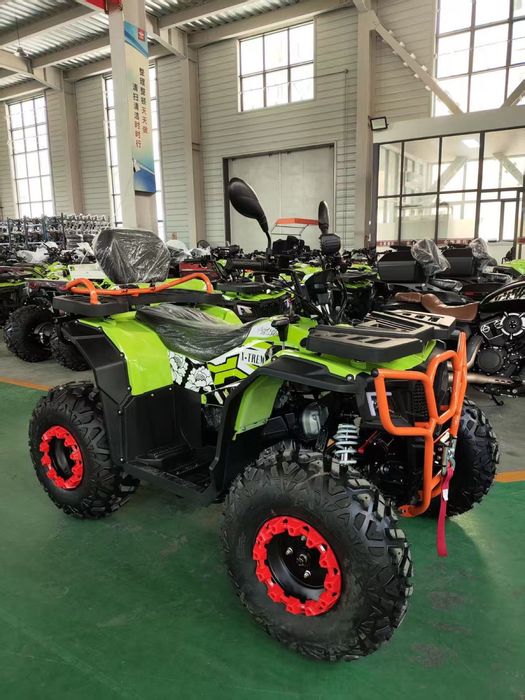 Квадроцикл X-treme 200куб