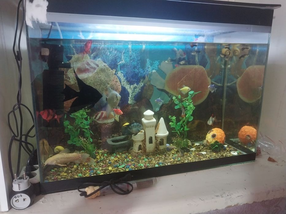 Продам Аквариум 100л