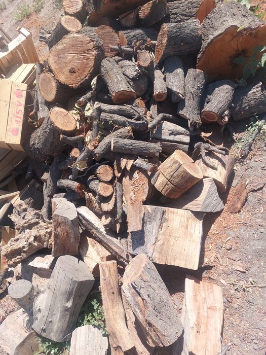 Отын, жіңішке және дөнбешіктер аралас