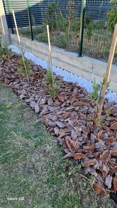 Mулч дебели големи борови кори