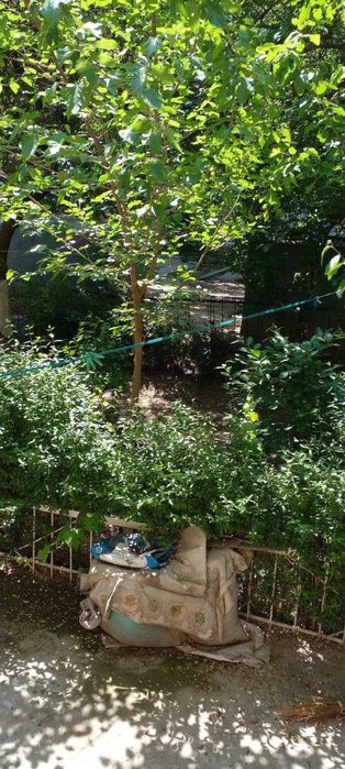 Шахар марказидан Дом сотилади