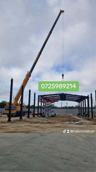 Vand hala metalica structura metalica IPE300 HEA260 IPE200 IPE270