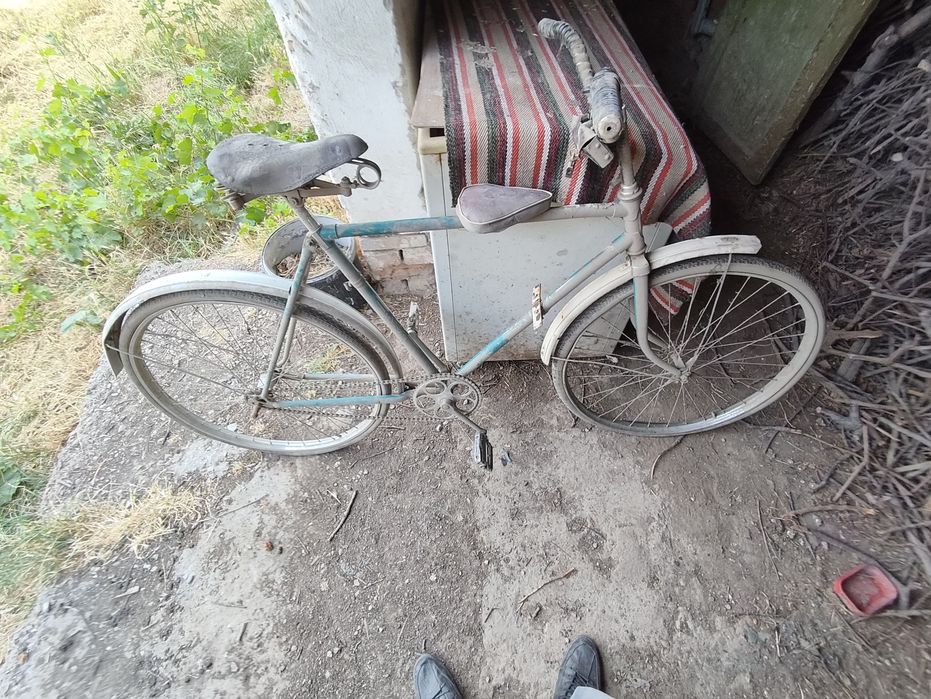 28 velik rasiyiski