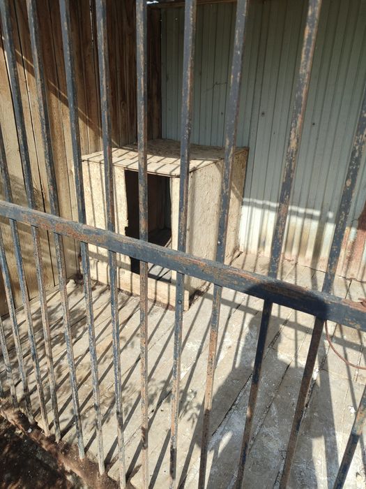 Вольер для собаки